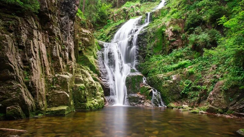 Analiza wyborcza i czynniki zwycięstwa