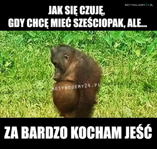 Decyzje życiowe