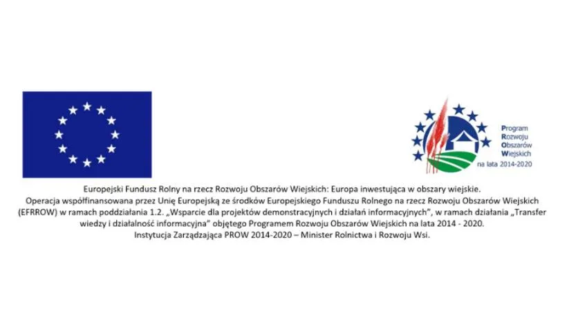 Flaga Unii Europejskiej w Poznaniu