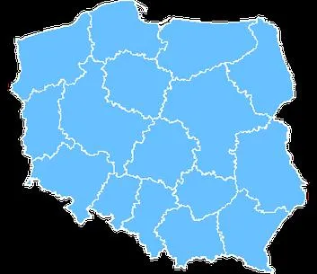 Głosowanie w wyborach