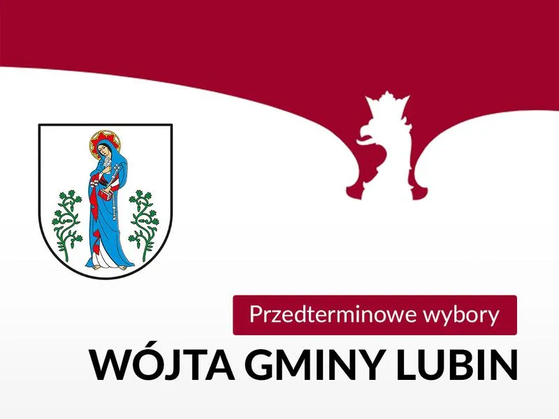 Przedterminowe wybory w Zduńskiej Woli