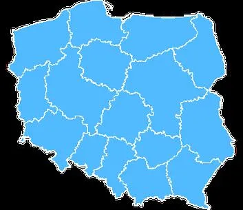 Przewodnik po głosowaniu