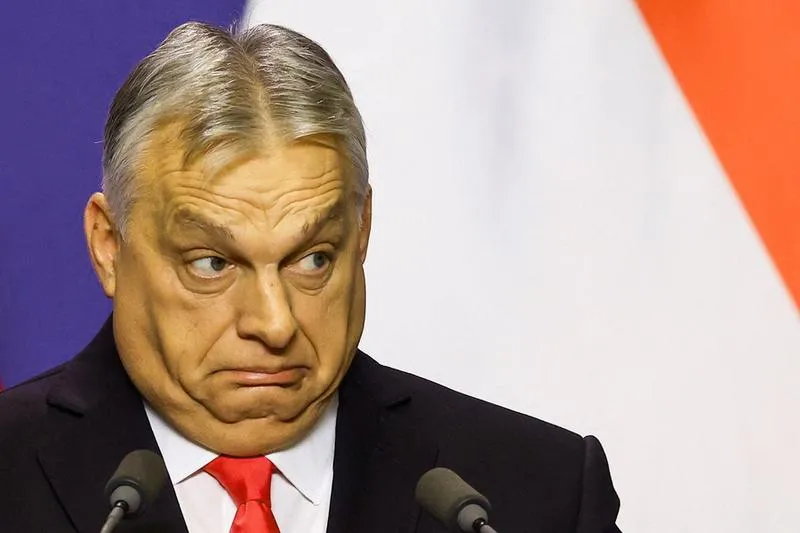 Rola samorządów w wyborach