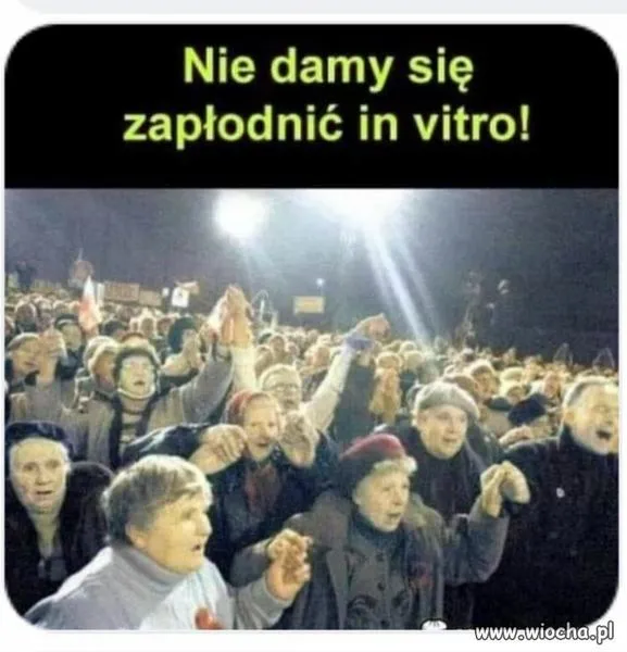 Ważność głosu