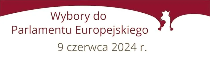Wybory do Europarlamentu