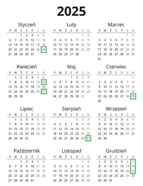 Wybory do europarlamentu
