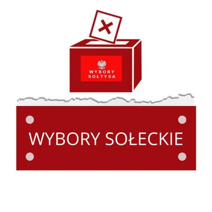 Wybory na sołtysa