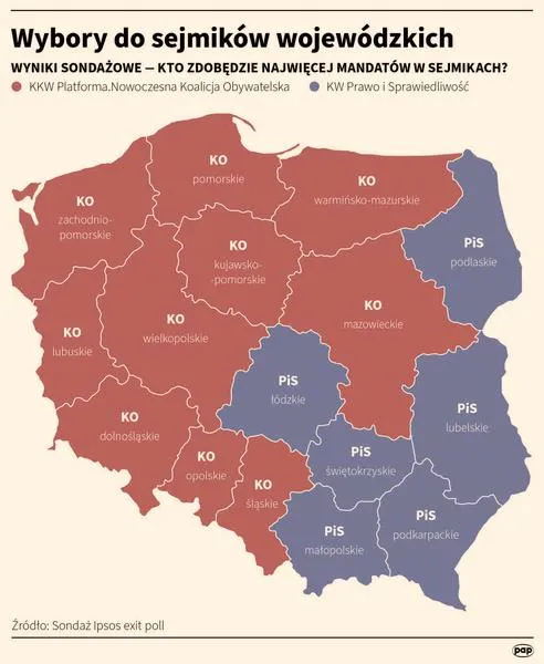 Wybory samorządowe