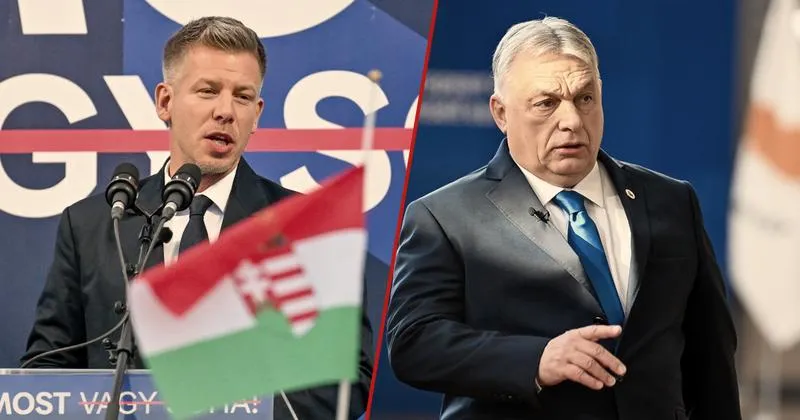 Wybory samorządowe i europejskie