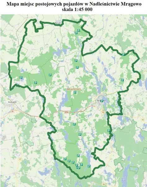 Wyniki wyborów 2026