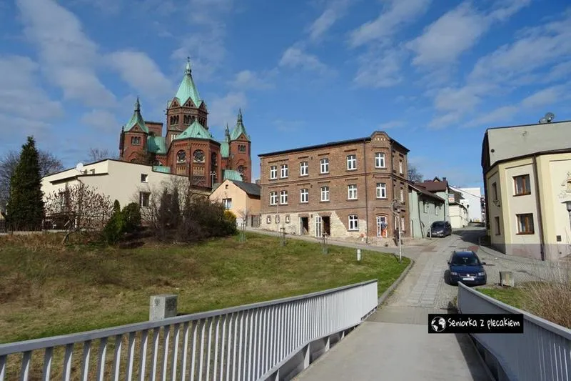Wyniki wyborów